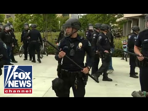 This is 'lawlessness': Florida sheriff