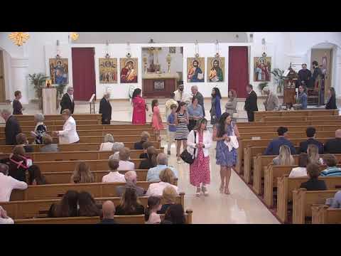 Web Stream Ascension Services