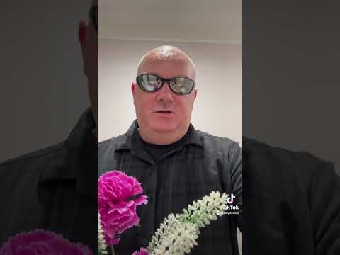 Bay Area Web Services