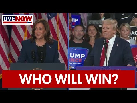 Trump vs Harris: Historian Allan Lichtman predicted 9 of 10 elections with "keys"
