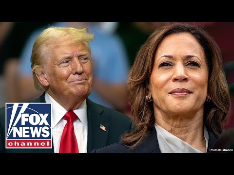 If a recession hits, it will help Trump, hurt Kamala: Democratic pollster