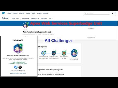 Apex Web Services Superbadge Unit || All Challenges