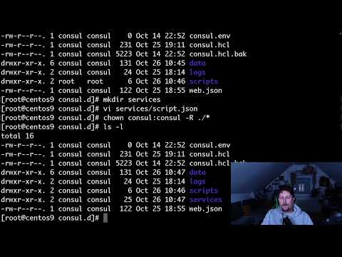 HashiCorp Consul – Script based service check via API