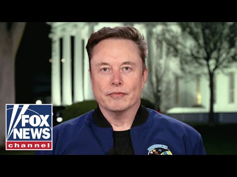 Elon Musk laments 'deranged' Democrats' attacks on Tesla plants