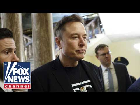 'I'VE HAD ENOUGH': Elon Musk reaches final straw with Dems' attacks