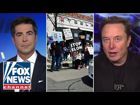 'The Five' unpacks what Democrats' 'anti-Musk crusade' reveals