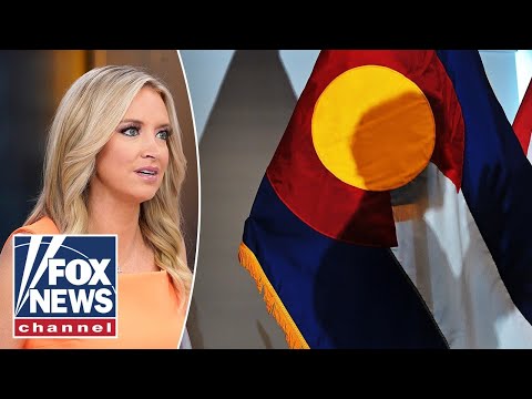 'This is wild': Blue state Dems unveil 'crazy' new bill