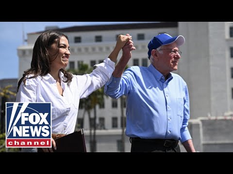 ‘FAR LEFT’ TURN: Dems did not read the election mandate correctly