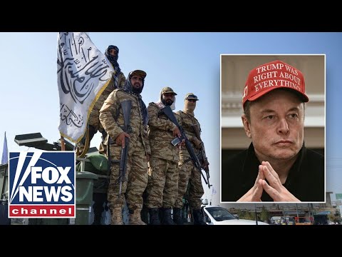 Musk, DOGE team find gov't contract with former Taliban member