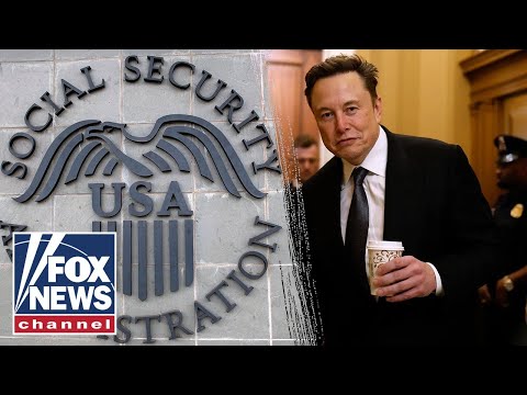 'BIG SCAM': Dems grill Musk, DOGE over efforts to cut government waste
