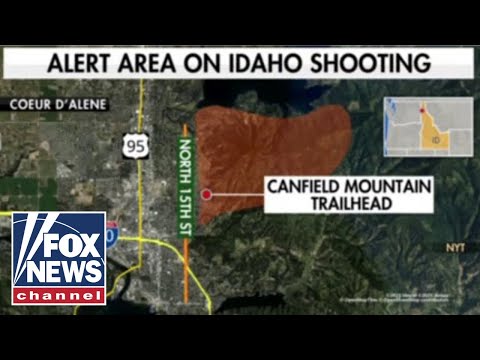 Former SWAT commander and sniper: The main goal is to 'neutralize the shooter or shooters'