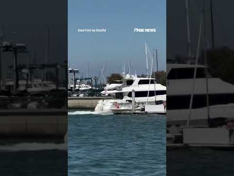 'HE JUMPED OFF': A yacht crashes into a seawall due to mechanical failure #shorts #viral #yacht #usa