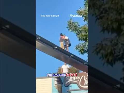 MONORAIL MISHAP: Hersheypark attendee rescues child stranded 100 feet up #shorts #foxnews #news #us