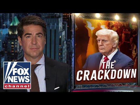 Watters: It's too late for Dems, Trump's cleanup crew is here