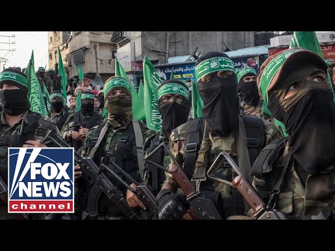 ‘The signs aren’t good’: National security expert on Hamas’ re-emergence in Gaza