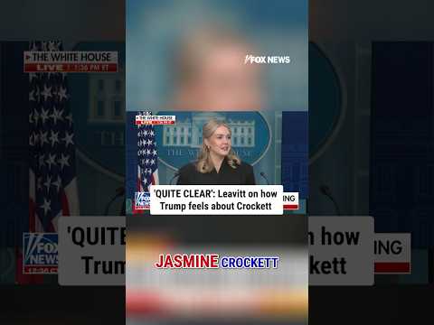 Leavitt calls Jasmine Crockett 'wholly unqualified' for Senate office #shorts #trump #crockett #fox