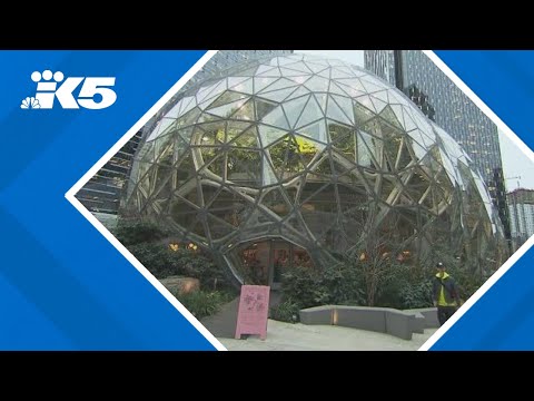 BREAKING: Amazon Web Services reports major outage overnight