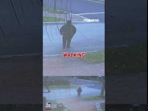 JUST IN: Three new videos RELEASED of suspected Brown University gunman #shorts #breakingnews #fox