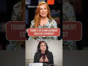 Tulsi's Bombshell Docs EXPOSE Democrat Plot!