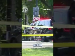 Secret Service TAKES DOWN armed man #shorts #us #news #foxnews #secretservice
