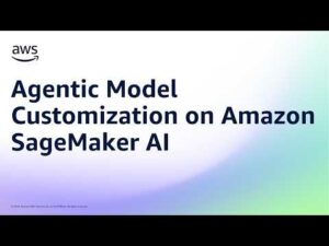 Agentic Model Customization on Amazon SageMaker AI | Amazon Web Services