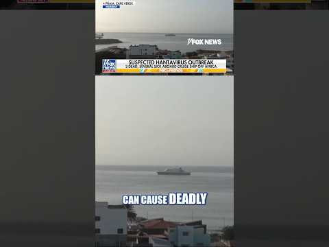 Possible Hantavirus outbreak kills at least 3 on cruise ship #shorts #foxnews #world #news
