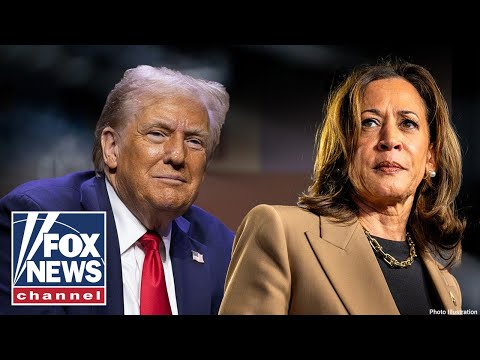 BOMBSHELL report on 2024 election RELEASED