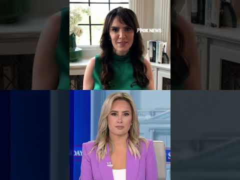 'American Sniper' widow TORCHES Dem over 'COWARDLY' comments #shorts #us #news #foxnews