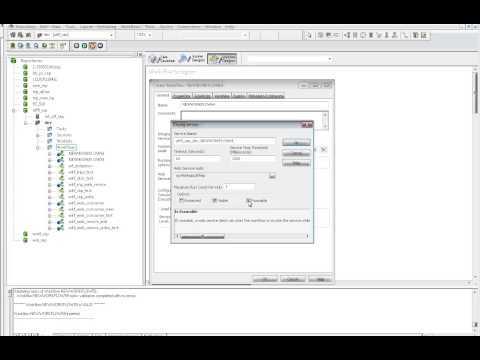 How to create PowerCenter Web Services hosted by Web Services Hub