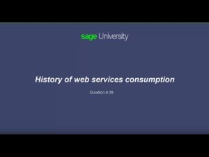 Sage X3  – History of web services consumption