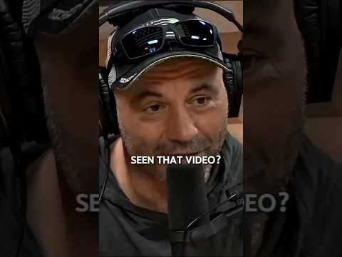 Joe Rogan Reacts To Gill Exposing Democrats Live On Fox News!!
